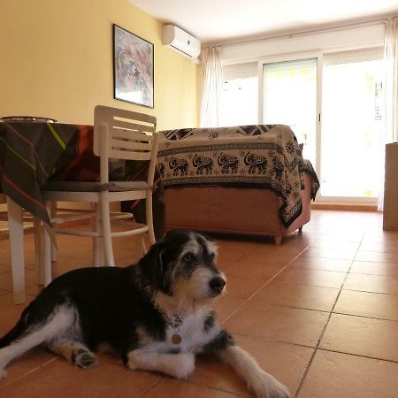 Apartamento Pescadors Les Cases d'Alcanar Esterno foto